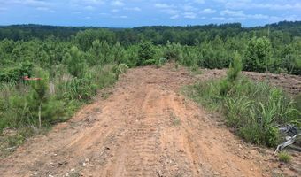 Tract 3 Tucker Rd, Bath Springs, TN 38311