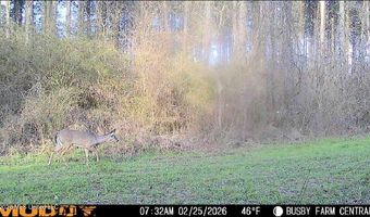 U.S. Highway 51, Bogue Chitto, MS 39629