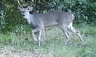 001 Farr Rd, Bolton, MS 39041