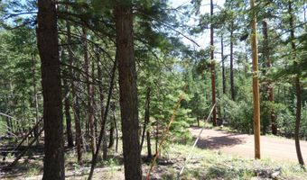 9 County Road 2073, Alpine, AZ 85920