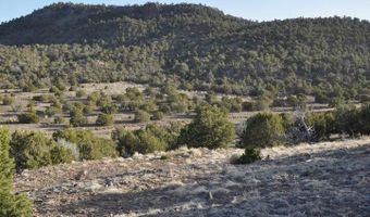 20 County Road 3044, Concho, AZ 85924