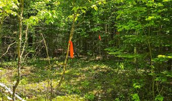 150 Spur Rd, Bloomfield, VT 05905