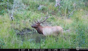 Old Flowers Rd, Bellvue, CO 80512