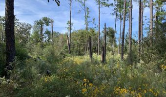 Drury Lane, Alford, FL 32420