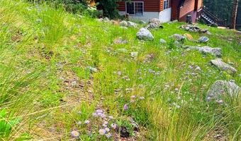 926 Nuthatch Dr, Alma, CO 80420