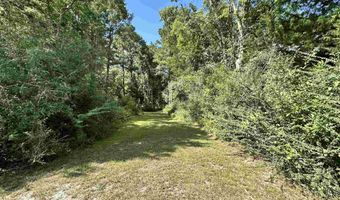 1580 CR 4535, Hillister, TX 77624