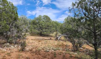 912 Westwood Rnch, Ash Fork, AZ 86320