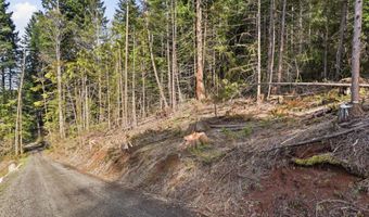 NW Green Mountain Rd 1, Banks, OR 97106