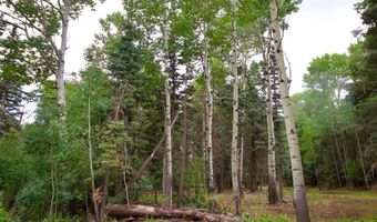 22954 Mt. Elbert Dr, Aguilar, CO 81020