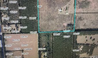 5559 SW 42ND Pl, Bell, FL 32619