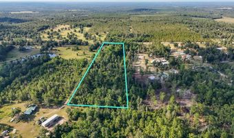 2139 Pike Pond Rd, Alford, FL 32420