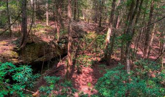 54 E Ridge Rd, Allardt, TN 38504