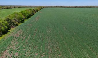 0000 SW Tawakoni Rd, Andover, KS 67002