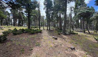 S Vail Overlook lot 310, Angel Fire, NM 87710