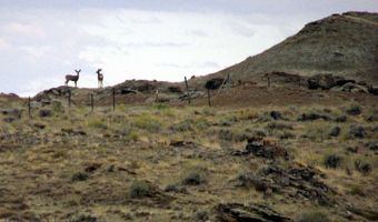 Tbd Richland Trail Clark Wyoming 80, Clark, WY 82435