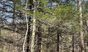 106 Road, Alma, NY 14708