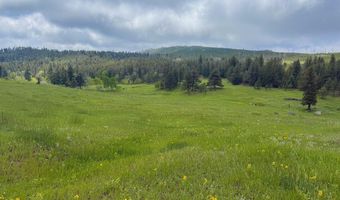 387 OLD CAMP Rd, Bellvue, CO 80512
