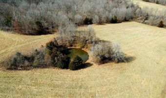 County Road 529, Ava, MO 65608