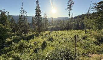 Nka E Doyle Road, Cataldo, ID 83810