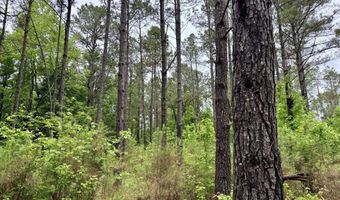 Mount Carmel Road, Bailey, MS 39320