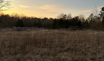 412110 E 1900 Rd, Antlers, OK 74523