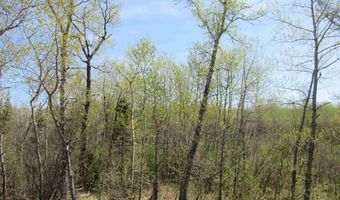 US 141 Road lot Lukes Road, Amasa, MI 49903
