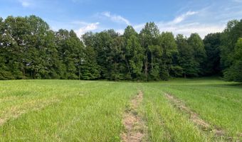 0 Willow Grove Hwy, Allons, TN 38541