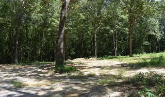 6 Gray Academy Rd Lot 6, Ashland, MS 38603