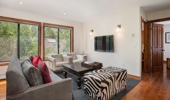 725 E Main St #309, Aspen, CO 81611