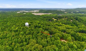 205 CHESTNUT Cir, Alabaster, AL 35007