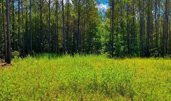Arthur Drive, Brookhaven, MS 39601