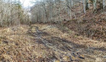 9999 Honeycutt Branch Turkey Crk, Barbourville, KY 40906