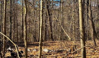 TM 407 L 35 Shem Valley Road, Alexandria, NH 03222