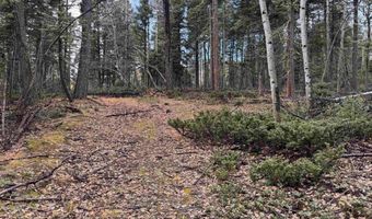 Vermejo Cir lot 15, Angel Fire, NM 87710