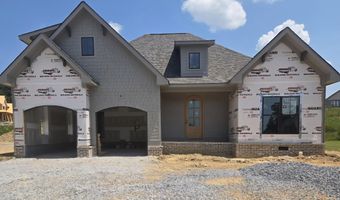 10597 Brownspring Dr 115, Apison, TN 37302
