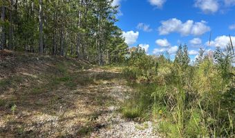 60 Ac Shannon Rd, Blackstock, SC 29014