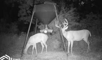 560 Th Ave, Albia, IA 52531