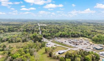 38178 US HWY 231, Ashville, AL 35953