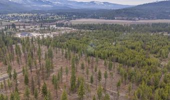 L5 B1 Wallace Lane, Blanchard, ID 83804