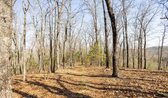 16032 Farm Road 1212, Aurora, MO 65605