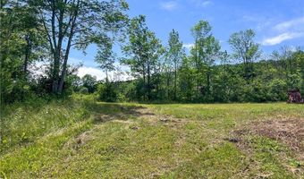 0 Woodland Hills Rd, Andes, NY 13731