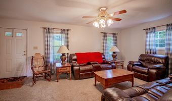 1520 Ripley Island Rd, Afton, TN 37616