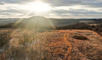 208 Cabin Rd, Ava, MO 65608