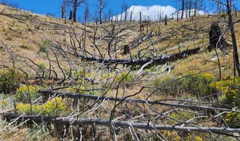 Nhn Plaindealer Lode Depot Hill Road, Boulder, MT 59632