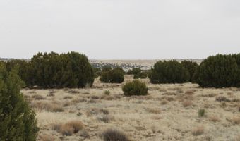 21 County Rd, Concho, AZ 85924
