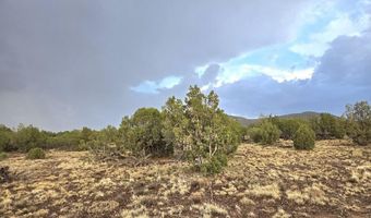 Pinon Valley Ranch lot 9, Concho, AZ 85924