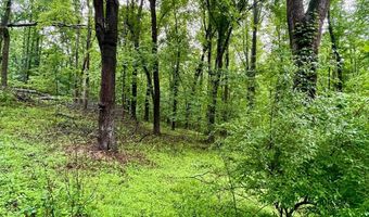 CARSONS WAY, Amissville, VA 20106