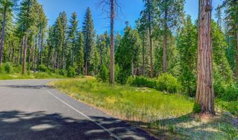 10 Timber Trail Ct, Arnold, CA 95223