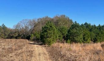 1300 Red Oak Rd, Barnwell, SC 29812