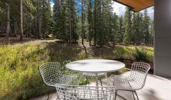 290 N FULLER PLACER Rd, Breckenridge, CO 80424